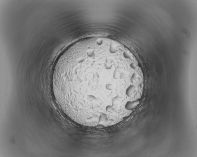 X0000111880337200908131638