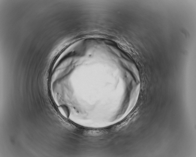 X0000111880341200908131638