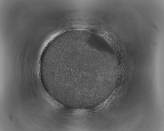 X0000111880342200908131638