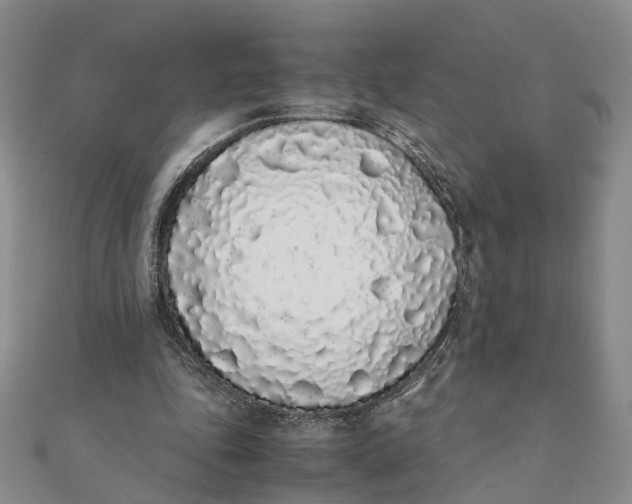 X0000111880343200908131638