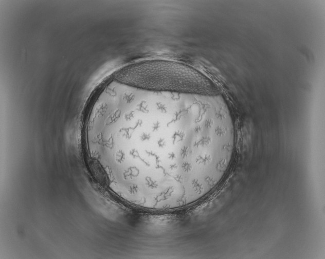 X0000111880344200908131638
