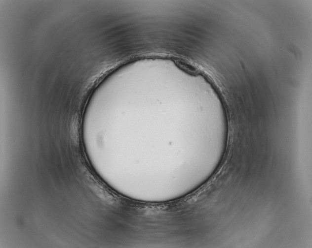 X0000111880345200908131638