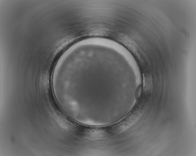 X0000111880348200908131638