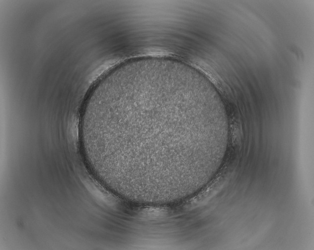 X0000111880350200908131638
