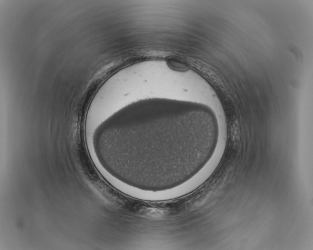 X0000111880352200908131638