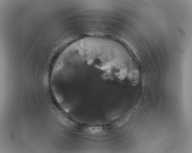 X0000111880353200908131638
