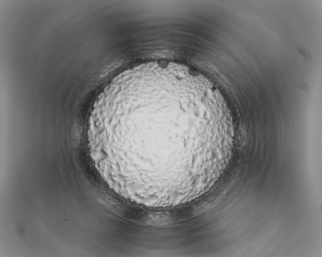 X0000111880355200908131638