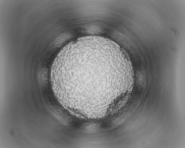 X0000111880356200908131638