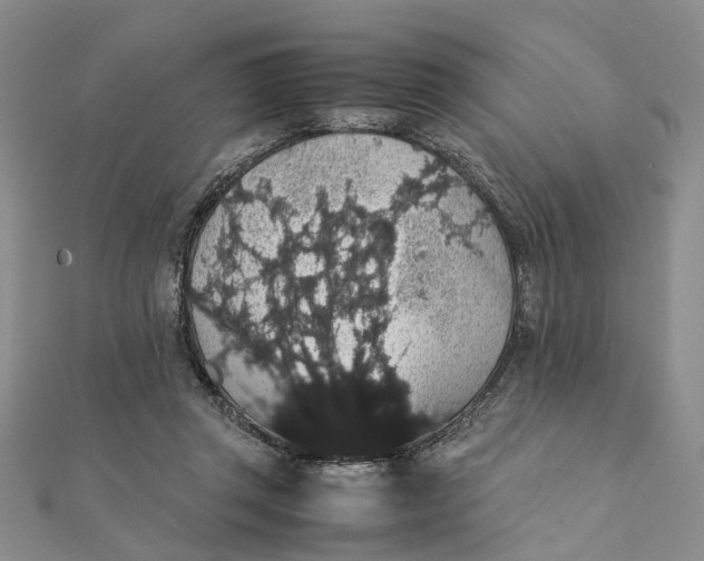 X0000111880357200908131638