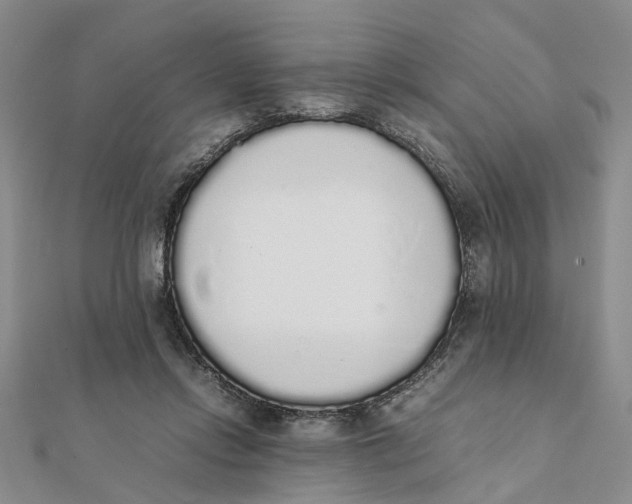 X0000111880358200908131638