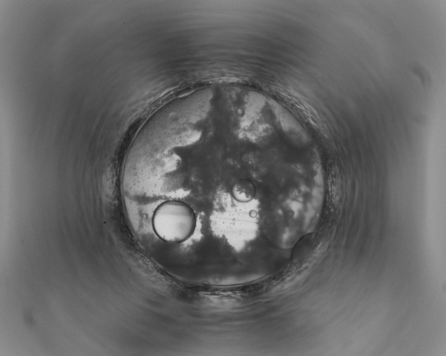 X0000111880359200908131638