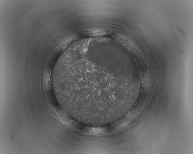 X0000111880360200908131638