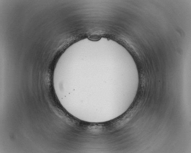 X0000111880362200908131638