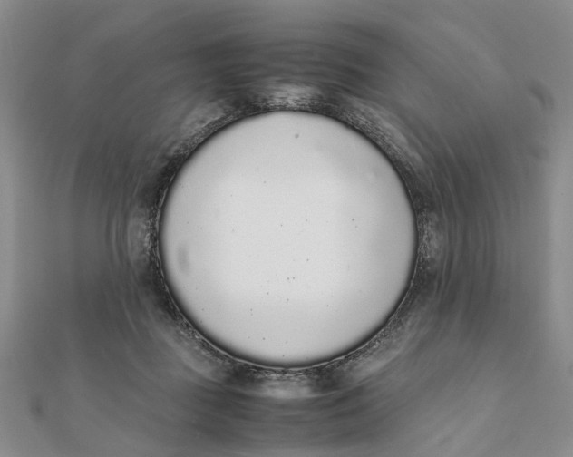X0000111880363200908131638