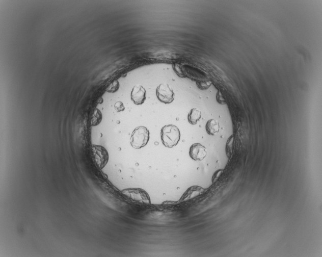X0000111880364200908131638