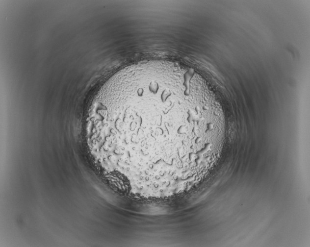 X0000111880365200908131638