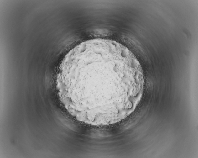 X0000111880367200908131638