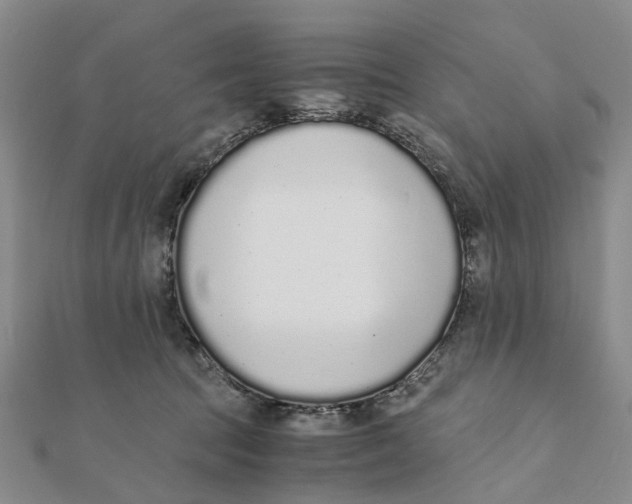 X0000111880369200908131639