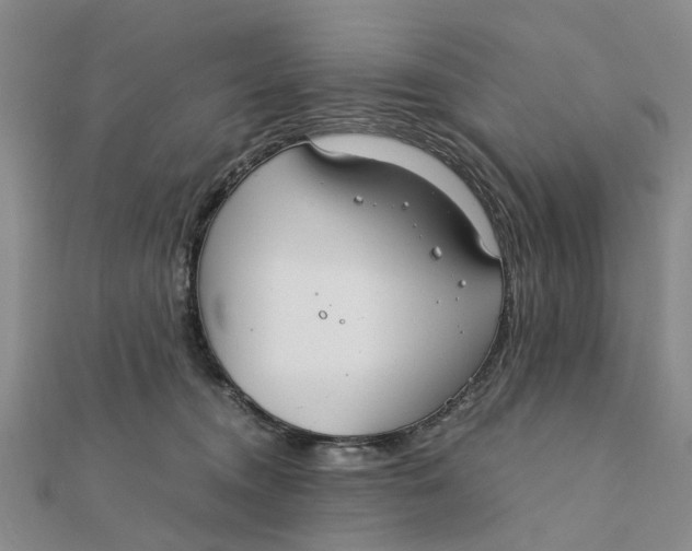 X0000111880372200908131639