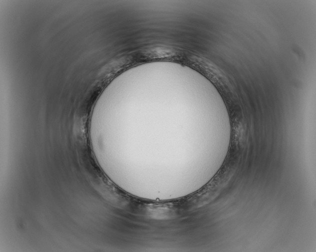 X0000111880373200908131639