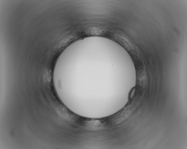 X0000111880374200908131639