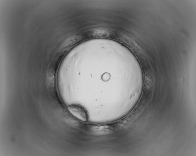 X0000111880375200908131639