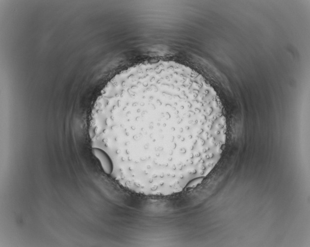 X0000111880376200908131639