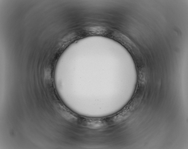 X0000111880377200908131639