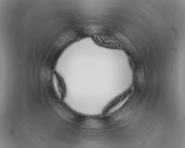 X0000111880380200908131639