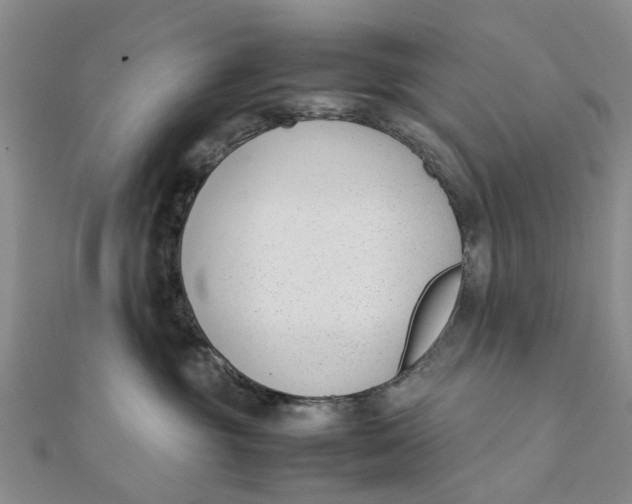 X0000111880381200908131639