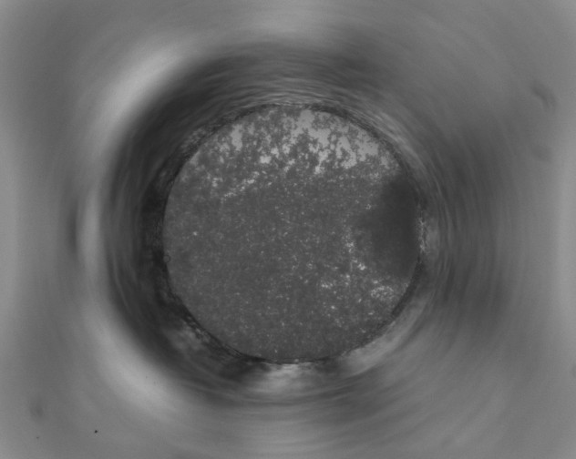 X0000111880382200908131639