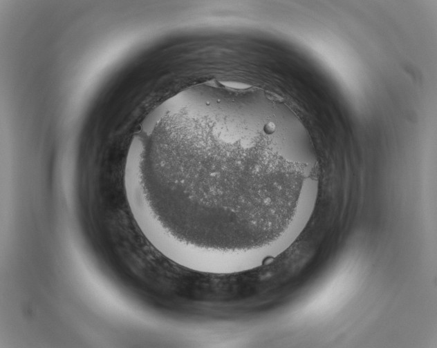 X0000111880383200908131639