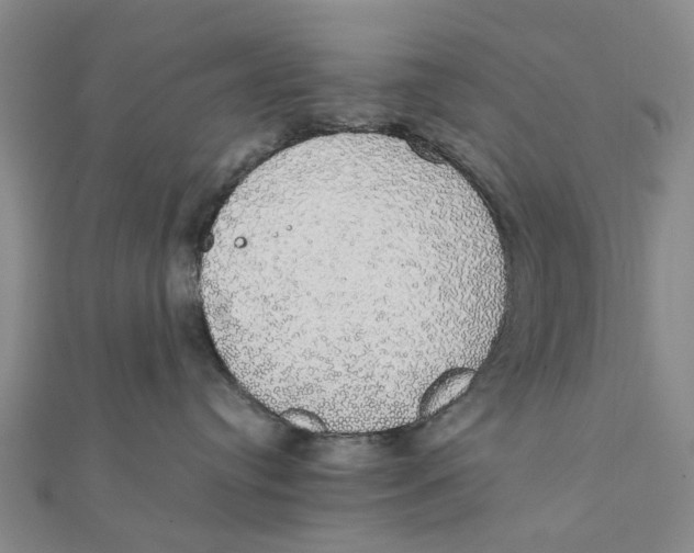 X0000111880384200908131639