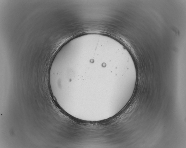 X0000111880385200908131638