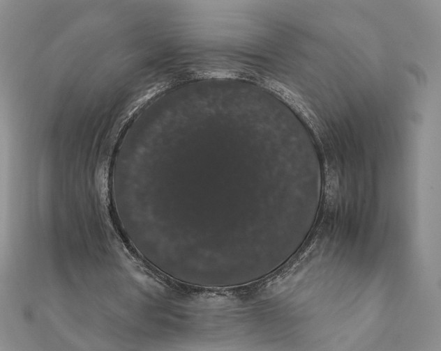 X0000111880386200908131638
