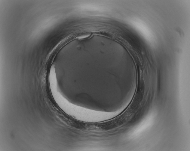 X0000111880387200908131638