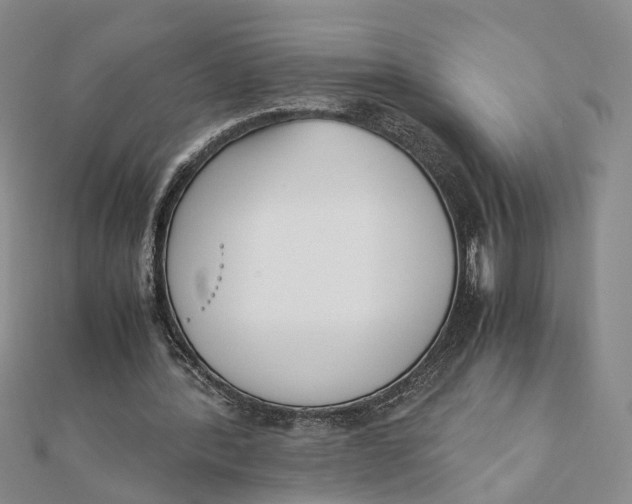 X0000111880388200908131638