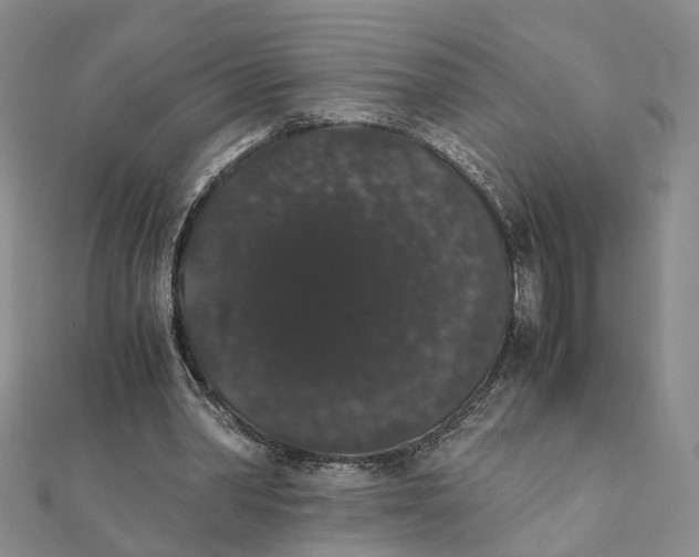 X0000111880390200908131638