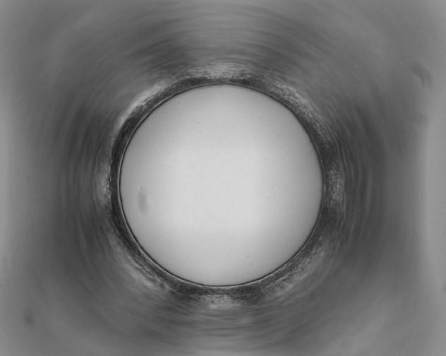 X0000111880392200908131638