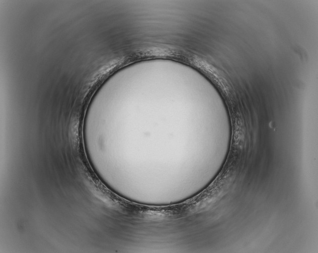 X0000111880394200908131638