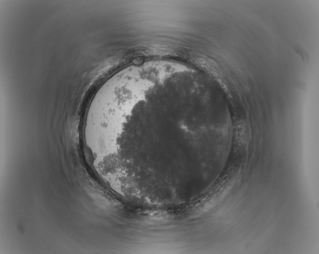 X0000111880395200908131638