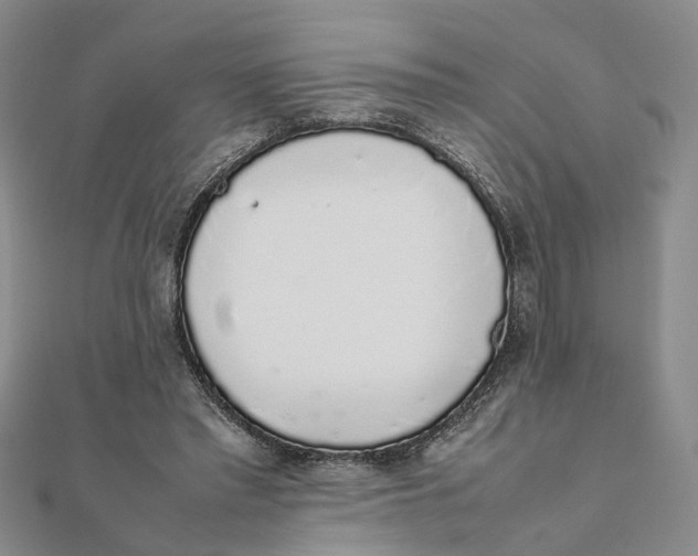 X0000111880397200908131638