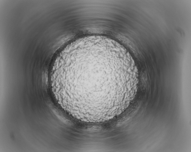 X0000111880398200908131638