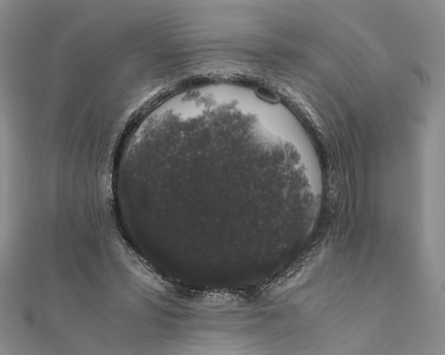 X0000111880399200908131638