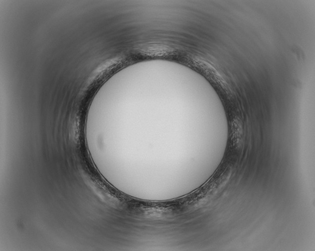X0000111880400200908131638