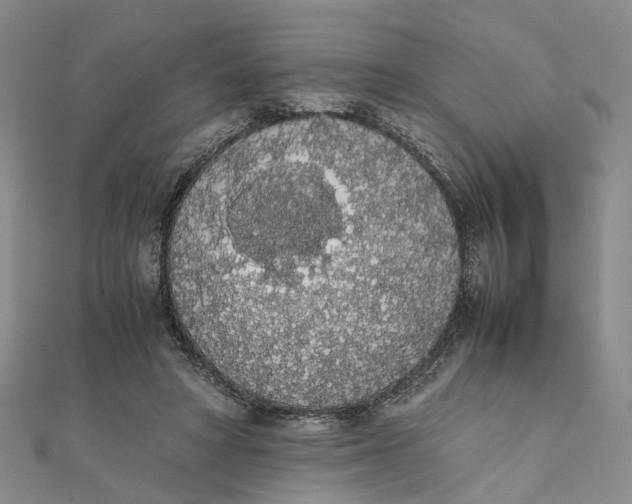 X0000111880402200908131638