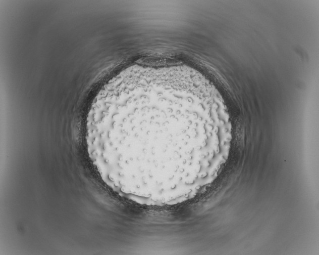 X0000111880403200908131638