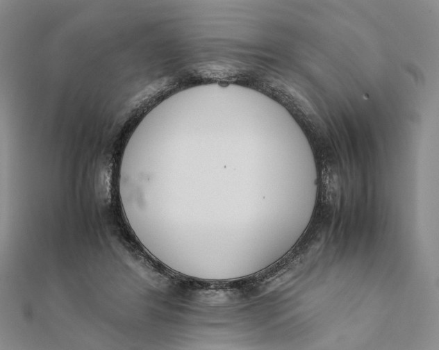 X0000111880404200908131638