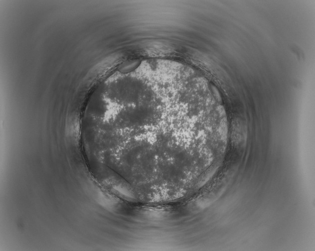 X0000111880405200908131638