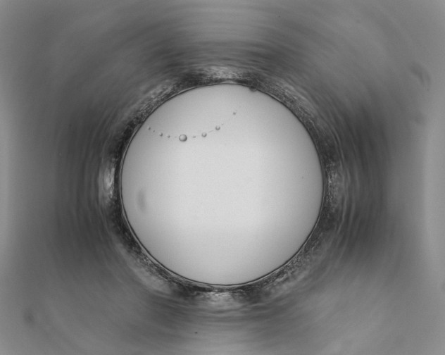 X0000111880406200908131638